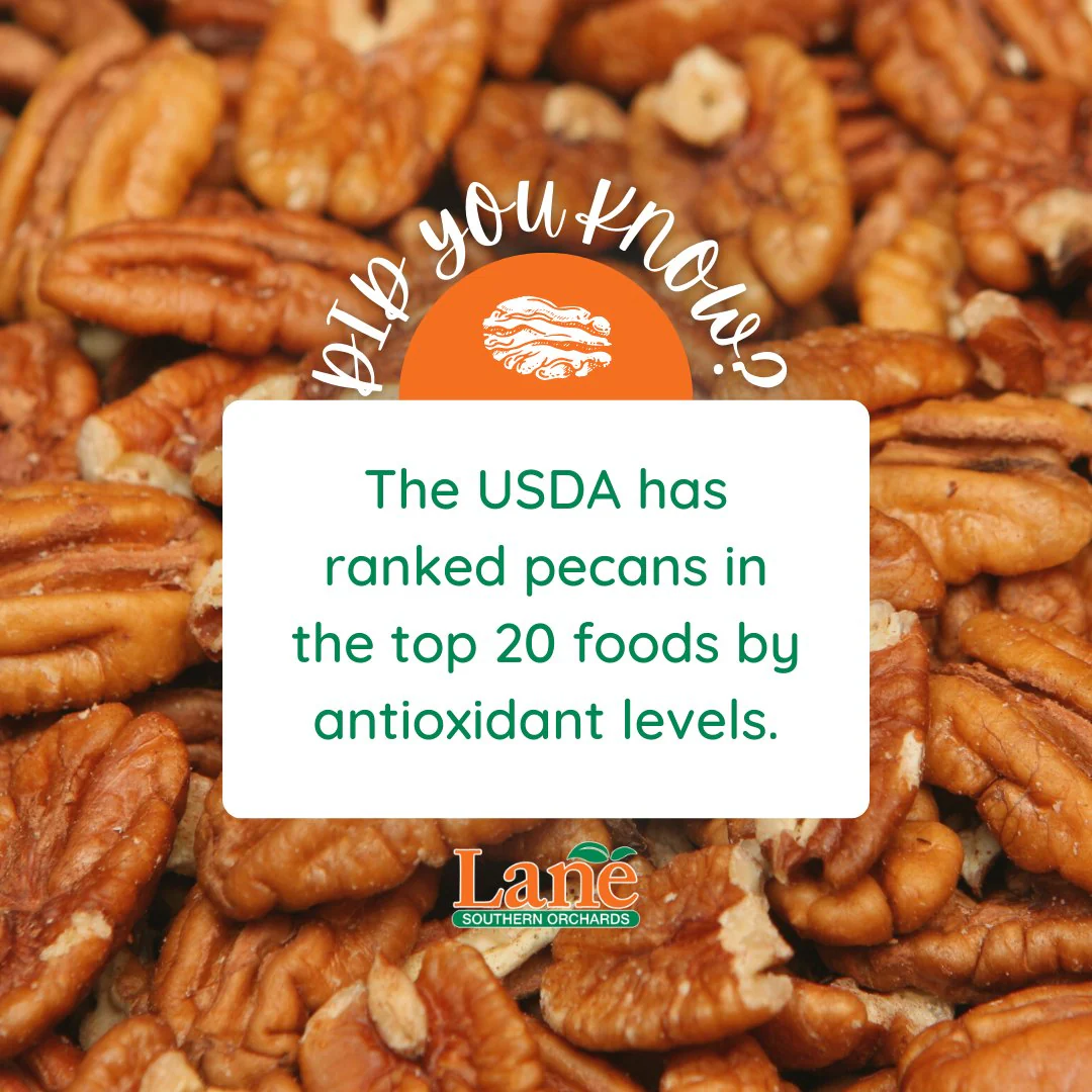 Pecan Halves - Image 3